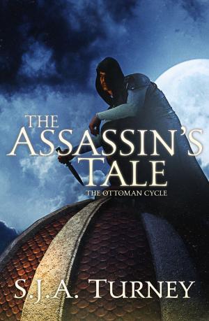 Cover of the book The Assassin's Tale by Kat Jaske