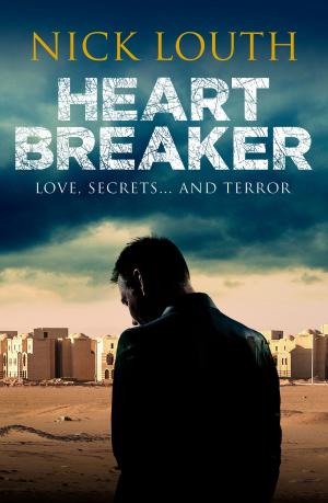 Cover of the book Heartbreaker by Adrián N. Bravi