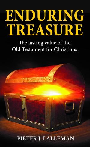 Cover of the book Enduring Treasure by Colin Hamer