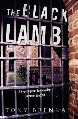 Cover of the book The Black Lamb by Wilamina Falkenhagen