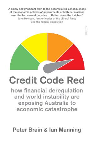 Cover of the book Credit Code Red by Lyn McLean