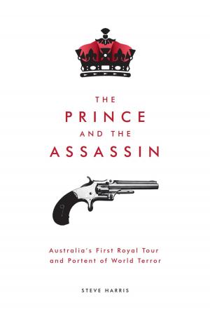 Book cover of The Prince and the Assassin