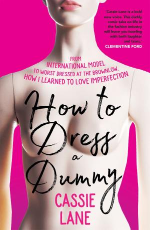 Cover of the book How to Dress a Dummy by Mel Campbell