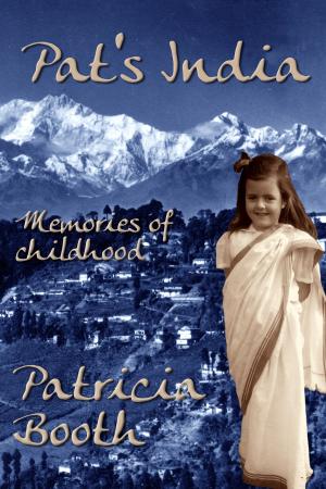 Cover of the book Pat’s India by Meg Hartfield