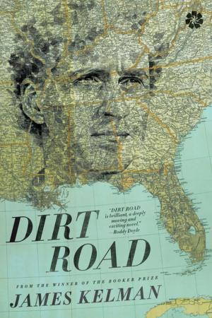 Cover of the book Dirt Road by Michelle de Kretser