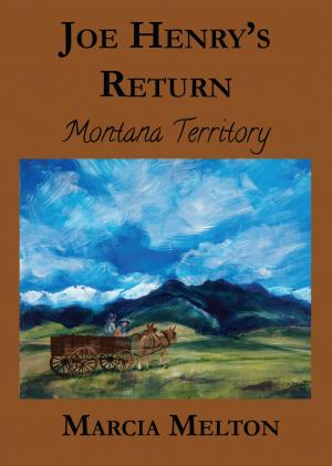 Cover of the book Joe Henry's Return by Wayne Coggins