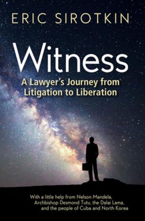 Cover of the book Witness by Ms. Denise Kester
