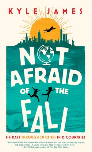 bigCover of the book Not Afraid of the Fall by 