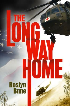 Cover of the book The Long Way Home by CJ Murphy
