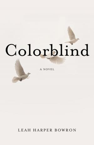 Cover of the book Colorblind by Kristin Contino