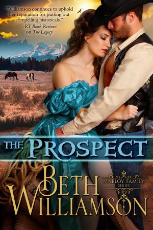 Cover of the book The Prospect by Keith R. A. DeCandido, Kevin Dilmore, David Mack, Dayton Ward