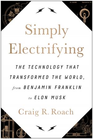 Cover of the book Simply Electrifying by David Goldsmith