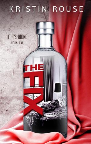 Cover of the book The Fix by Anne-Marie Lacy