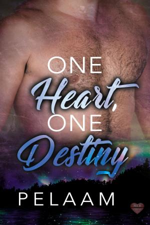 Cover of the book One Heart, One Destiny by AKM Miles