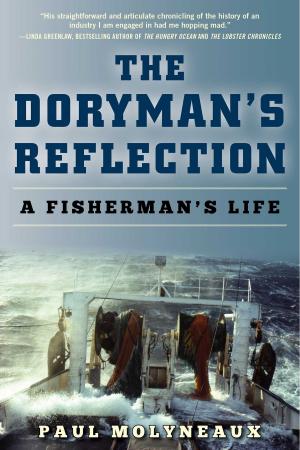 Book cover of The Doryman's Reflection