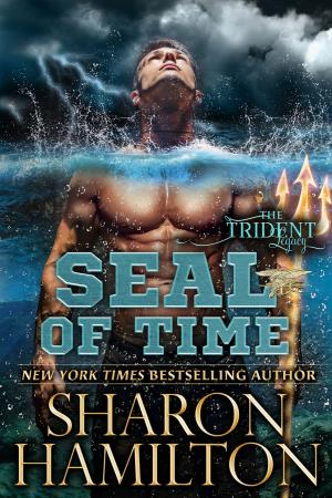 Cover of the book SEAL Of Time by Kelsey Browning