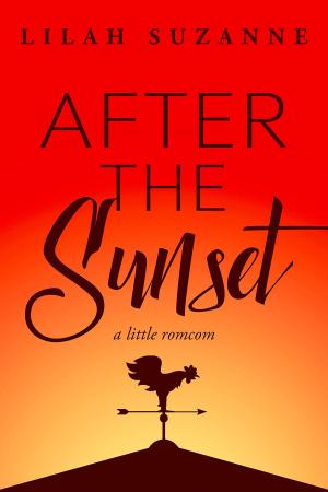 Cover of the book After the Sunset by Lissa Reed