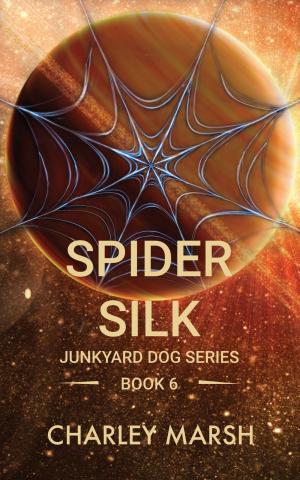 Cover of the book Spider Silk by Jolie Mason