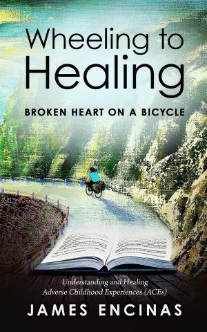Book cover of Wheeling to Healing...Broken Heart on a Bicycle