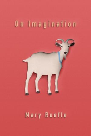 Cover of the book On Imagination by Arna Bontemps Hemenway