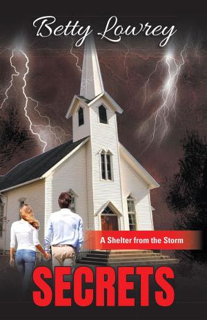 Cover of the book Secrets by Robert S. Shelton