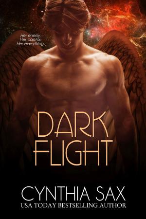 Cover of the book Dark Flight by Cynthia Sax