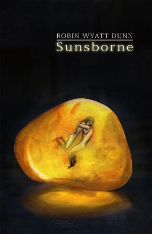 Cover of the book Sunsborne by Roxana Nastase