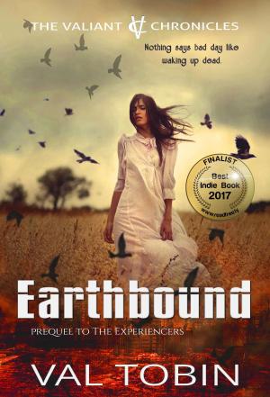 Cover of the book Earthbound by R. D. Scott