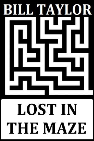 Cover of the book Lost In The Maze by Gabi Rupp