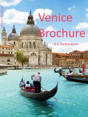 Cover of the book Venice Brochure by Rose + Gully, Geoff Moysa, Andrea Lown