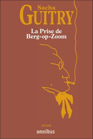 Cover of the book La Prise de Berg-op-Zoom by Sébastien CHARLETY, Arnaud TEYSSIER