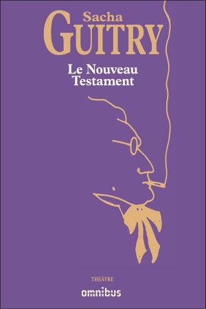 Cover of the book Le Nouveau Testament by Alexandra LAPIERRE