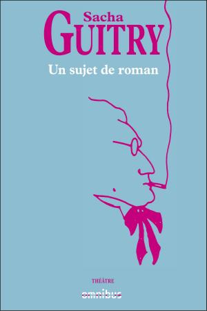 Cover of the book un sujet de roman by Dominique MARNY
