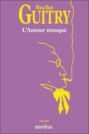 Cover of the book L'Amour masqué by Jean-Michel DECUGIS, François MALYE, Jérôme VINCENT