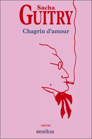 Cover of the book Chagrin d'amour by Patrick WEBER