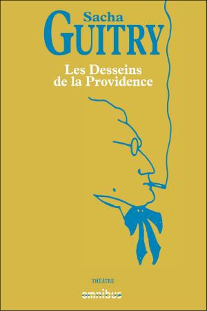 Cover of the book Les Desseins de la Providence by Philippe ANDRÉ, Jean-Louis CREMIEUX-BRILHAC