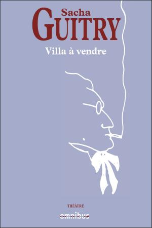 Cover of the book Villa à vendre by Vincent HAEGELE, Emmanuel de WARESQUIEL