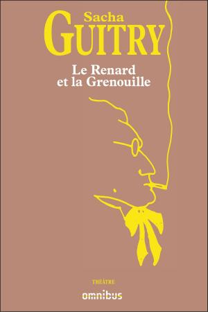 Cover of the book Le renard et la grenouille by Haruki MURAKAMI