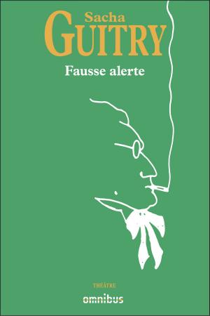 Cover of the book Fausse alerte by Jean-Michel THIBAUX