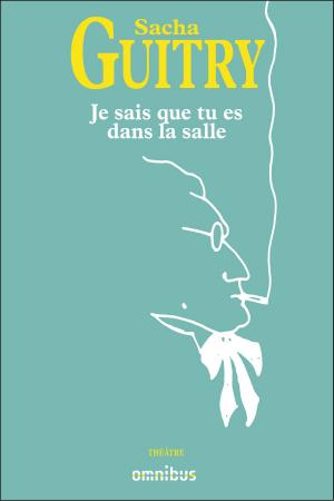 Cover of the book je sais que tu es dans la salle by Pierre PELLISSIER