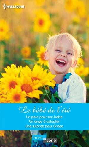 Cover of the book Le bébé de l'été by Andrea Laurence