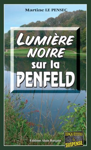 Book cover of Lumière noire sur la Penfeld