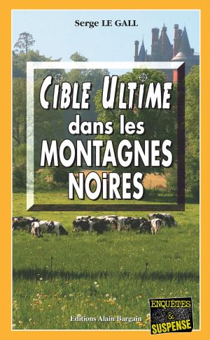 Book cover of Cible ultime dans les montagnes noires
