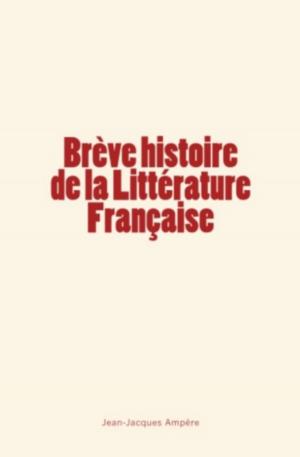 Cover of the book Brève histoire de la Littérature Française by William H. Burr