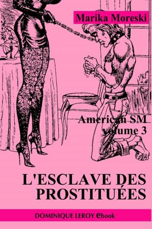 Cover of the book L'Esclave des prostituées by Marika Moreski