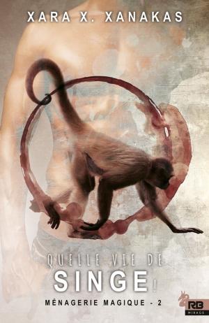 Cover of the book Quelle vie de singe ! by K.J. Charles