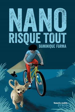 Cover of the book Nano risque tout by Cathy Cassidy