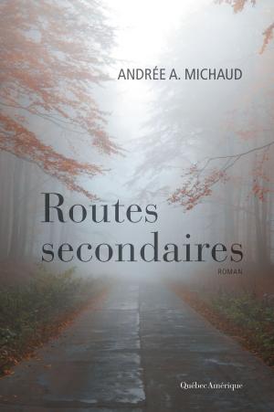 Cover of the book Routes secondaires by Jean-Benoît Nadeau