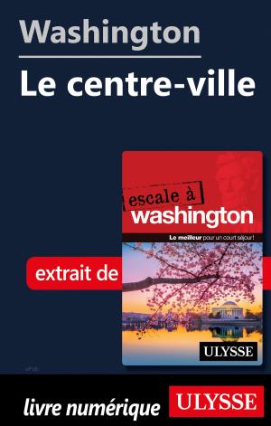 Cover of the book Washington - Le centre-ville by Hudson Benjamin