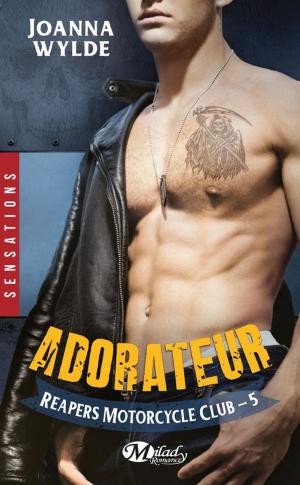 Cover of the book Adorateur by Amanda Prowse